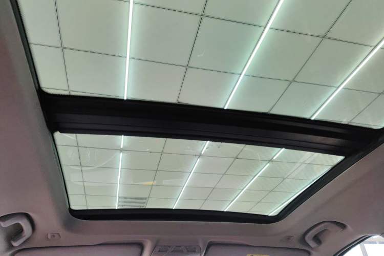 Used BMW X1 New Energy 2020 xDrive30Le Premium Edition Headliner