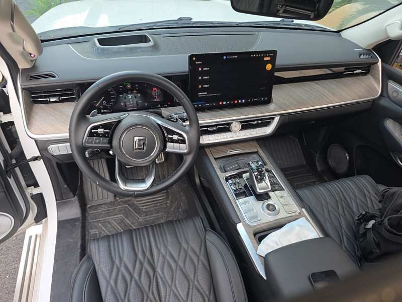 Used Tank 500 2022 3.0T Sport Edition “Creation” Version 5-Seater — 9