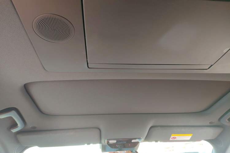 Used Li Auto L9 2022 Max model Headliner