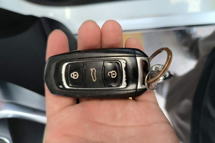 Used Livan Maple 30X 2020 Style Edition
