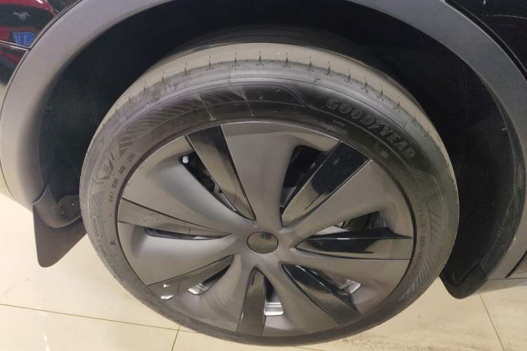 Used Tesla Model Y 2023 Long-Range All-Wheel-Drive Version Exterior 5