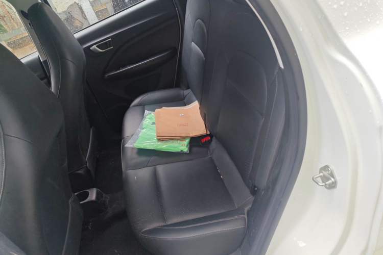 Used Leapmotor T03 2020 400 Luxury Edition Left Rear Seat