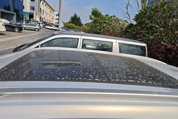 Used AION Y 2023 Younger Star Edition