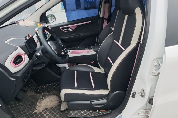 Used SOL E10X 2022 Flower Fairy Style Baby's Breath