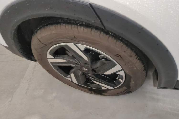 Used NETA X 2023 400
