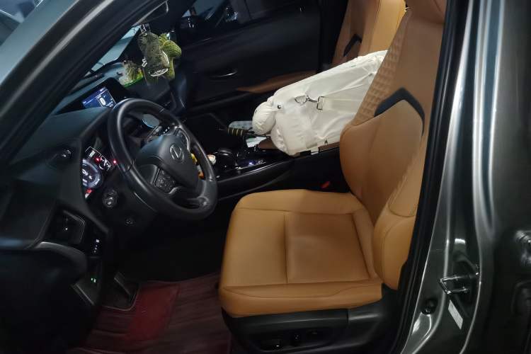 Used Lexus UX New Energy 2020 300e Pure·Joy Edition
