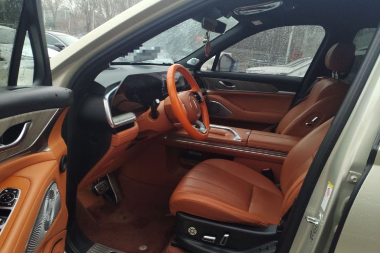 Used Wey Lanshan 2023 Four-Wheel Drive Ultra-Long Range Version Driver Seat