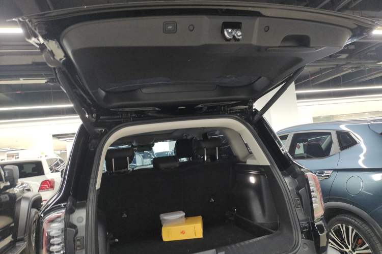 Used Haval DARGO 2024 2.0T DCT Chinese Rural Dog Edition
