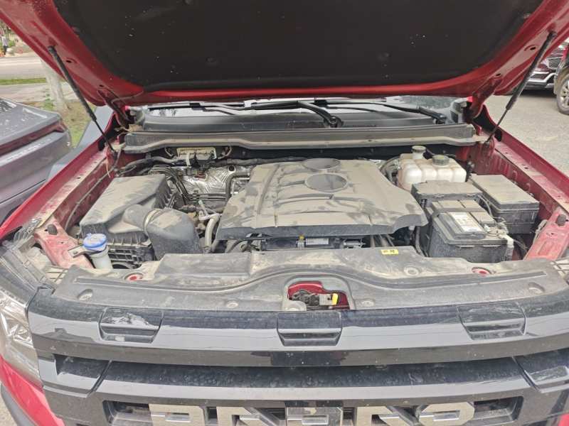Used JMC DaDao 2024 Explorer 2.3T Gasoline Automatic 4×4 Extreme Edition — 10