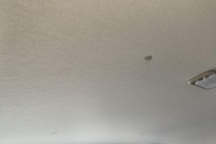 Used Wuling Hongguang PLUS 2019 1.5T Manual Standard Edition 5 Seats Headliner