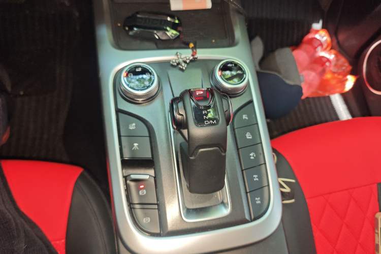 Used Tank 300 2024 2.0T Conqueror
