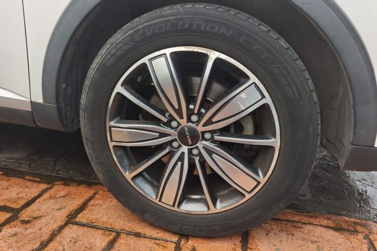 Used Haval H6 2021 1.5T Automatic Champion Edition
