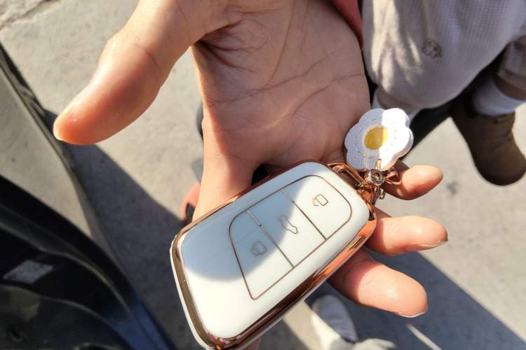 Used Chery QQ Little Ant 2019 4-Seater Smart Edition 35 kWh