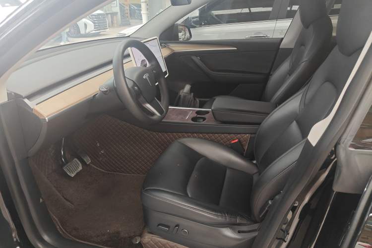 Used Tesla Model Y 2021 Standard Range Rear-Wheel Drive Version
