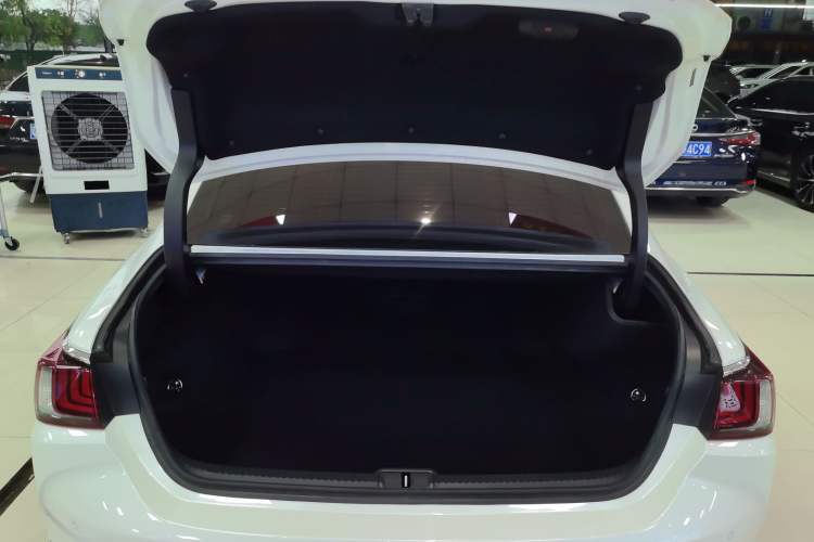 Used Lexus ES 2020 300h Premier Edition Trunk