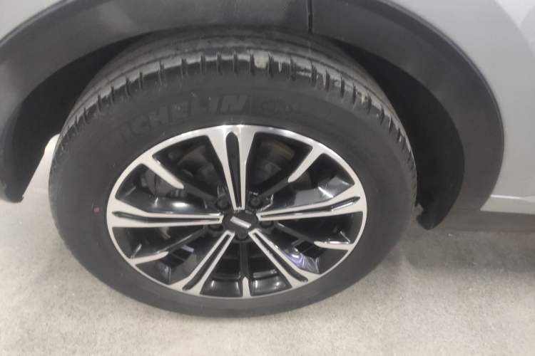 Used Wey VV6 2021 2.0T Two-Wheel Drive Smart Protection+