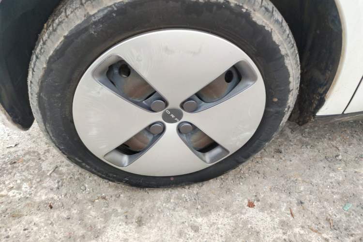 Used ORA Black Cat 2019 310km Fun Edition
