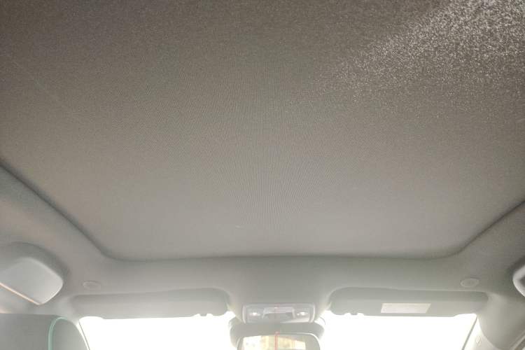 Used BYD Dolphin 2025 Intelligent Driving Version 410 km Fashion Edition Headliner