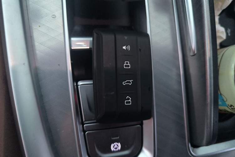 Used Tank 700 New Energy 2024 Hi4-T Extreme Edition Vehicle Key