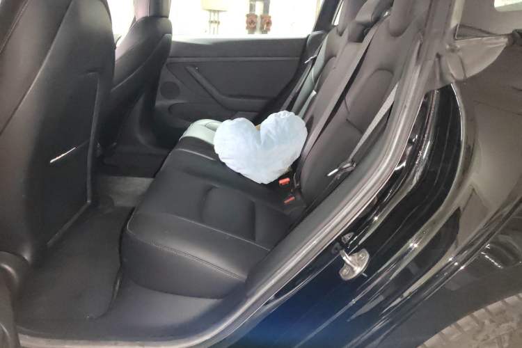 Used Tesla Model 3 2020 Revised Version Standard Range Rear-Wheel Drive – Upgraded Edition