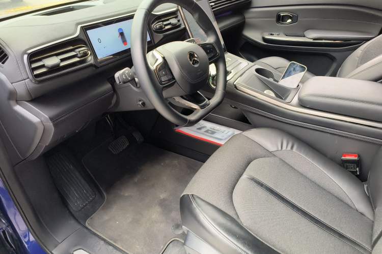 Used Nio EC6 2020 440 km Performance Version Driver Seat