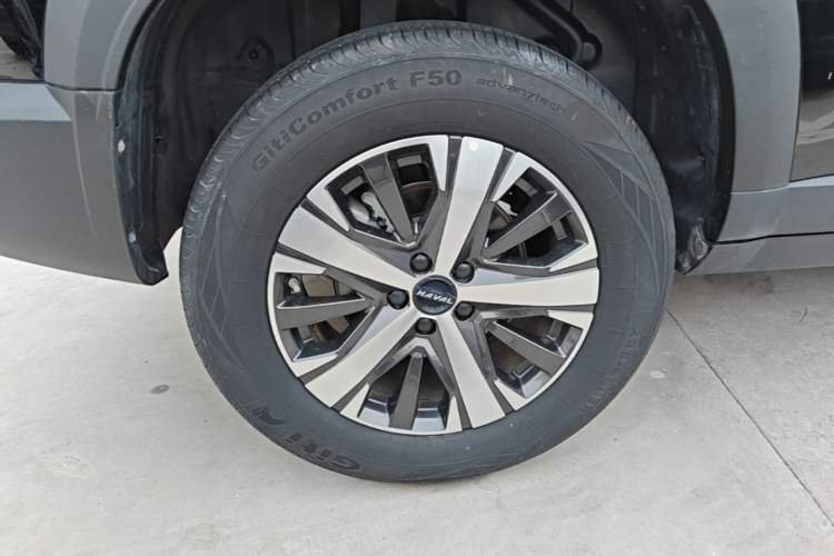 Used Haval DARGO 2022 1.5T DCT Two-Wheel Drive Labrador Edition
