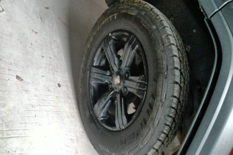 Used Tank 300 2021 Off-Road Edition 2.0T Conqueror
