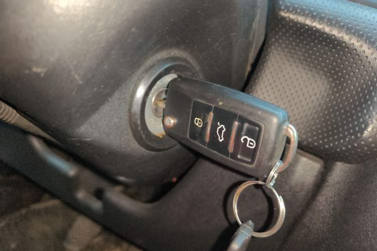 Used Leopaard Feiting 2009 2.0L 4x4 Luxury Edition