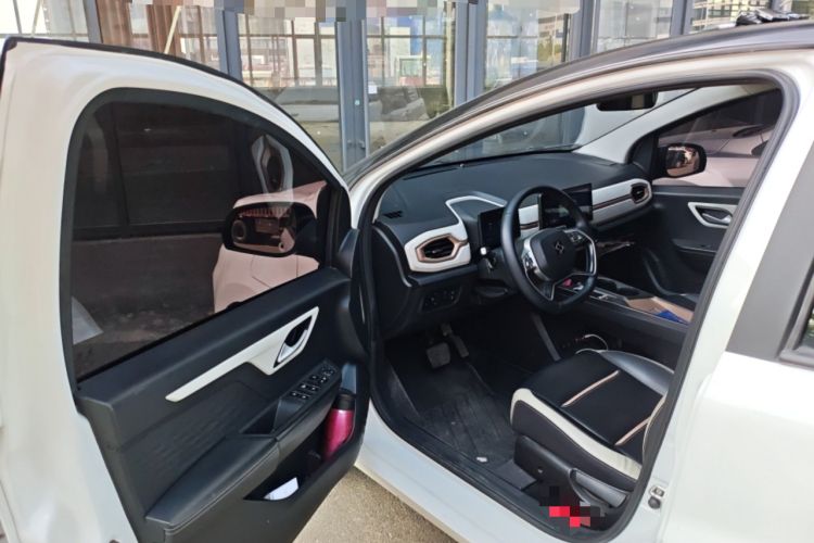 Used SOL E10X 2022 Flower Fairy Style Baby's Breath Driver Seat