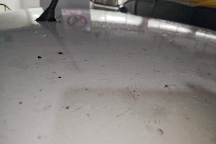 Used Bestune Pony 2026 Model 222km Cute Horse Roof