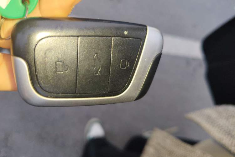 Used Chery Little Ant 2021 200 000-Yuan Ant Fan Edition Energized Version Lithium Iron Phosphate 301 km Vehicle Key