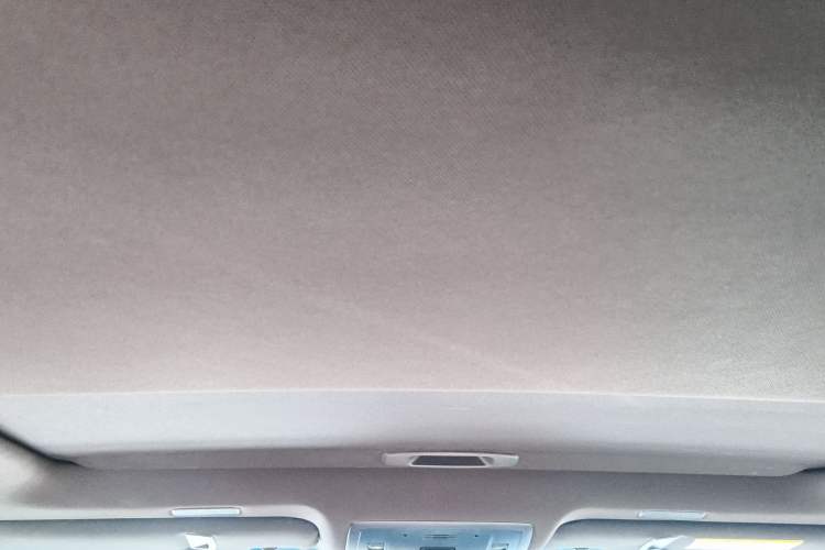 Used Lexus ES 2020 200 Luxury Edition Headliner