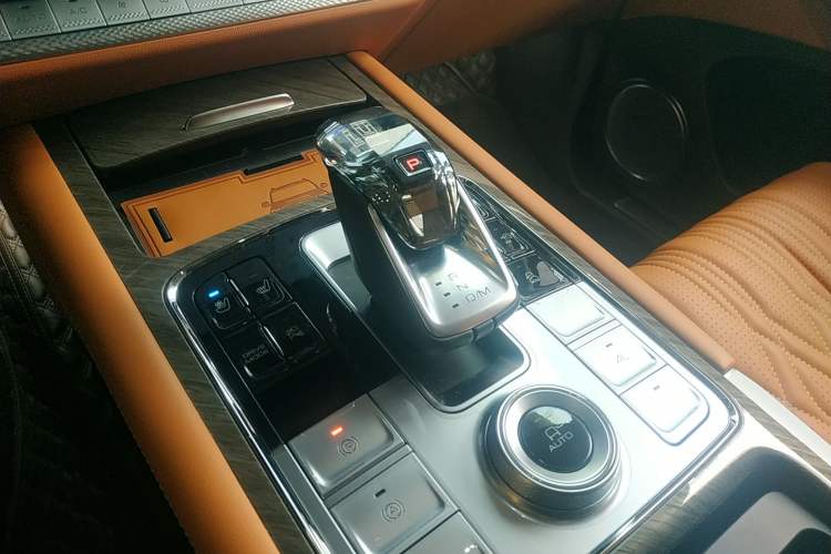 Used Tank 500 New Energy 2024 Hi4-T Gear Lever