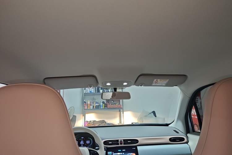 Used Leapmotor T03 2025 310 Comfort Edition Headliner