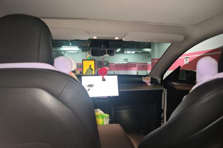 Used Tesla Model Y 2021 Long-Range All-Wheel-Drive Version