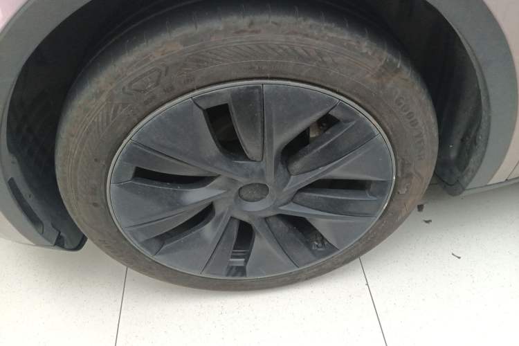 Used Tesla Model Y 2023 Rear-Wheel-Drive Version Exterior 4