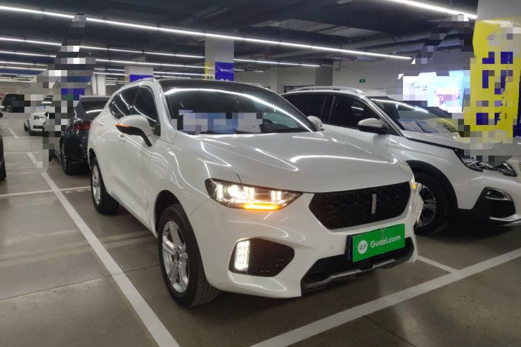 Used Wey VV5 2019 1.5T Two-Wheel Drive Smart Pioneer