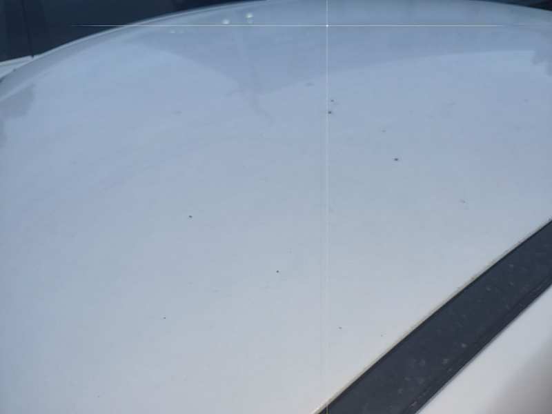 Used BYD Qin PLUS 2025 DM-i Smart Drive 55KM Leading Model — 26