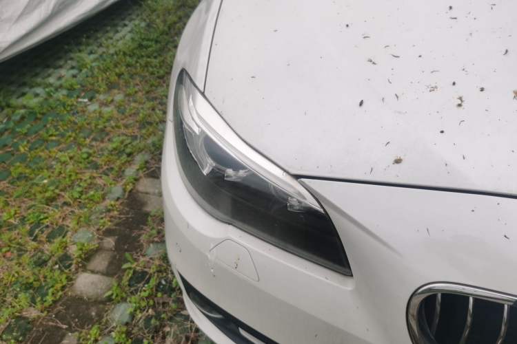 Used BMW 5 Series 2017 525Li Leading Model