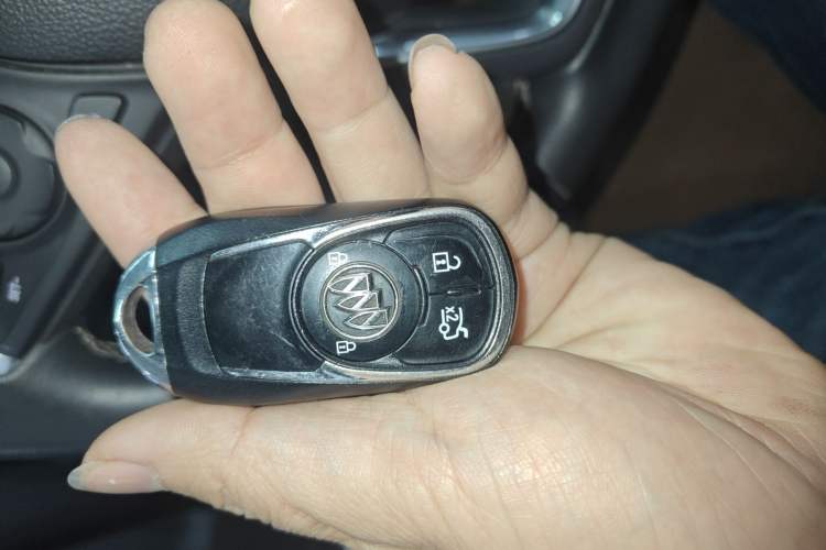 Used Buick Regal 2019 20T Elite Version China VI Standard