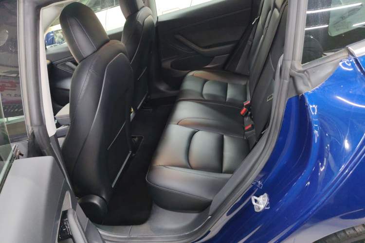 Used Tesla Model 3 2020 Refreshed Version Long-Range Rear-Wheel Drive Left Rear Seat
