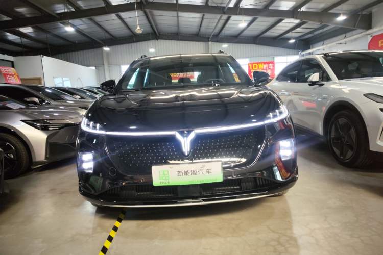 Used VOYAH COURAGE 2024 Four-Wheel Drive Global Edition
