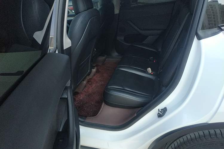 Used Tesla Model Y 2021 Standard Range Rear-Wheel Drive Version
