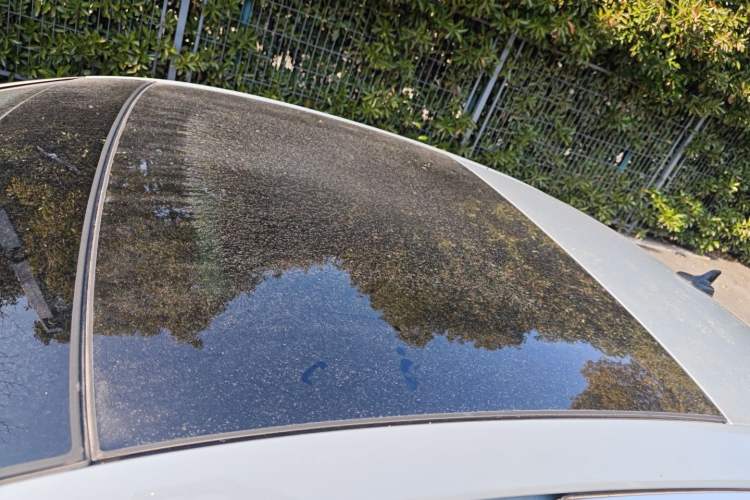 Used Audi A3 2025 A3L Limousine 35TFSI Prestige Edition