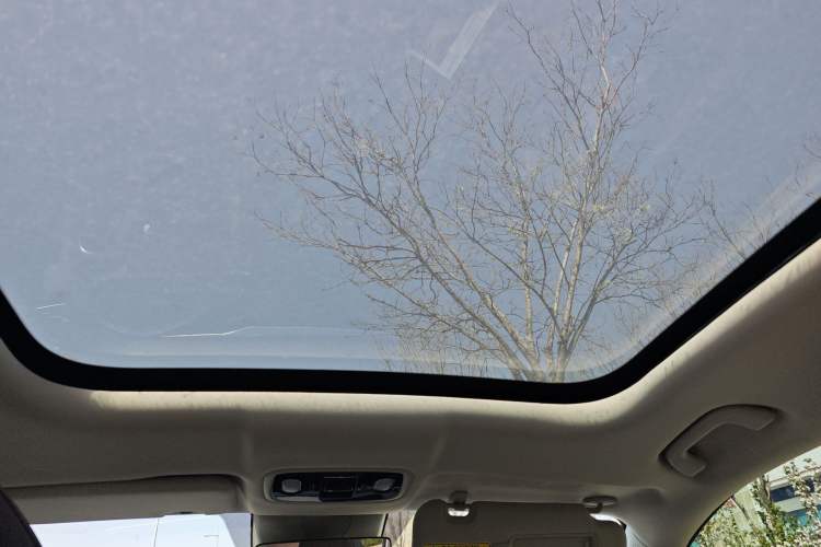 Used Leapmotor C11 2023 Pure Electric 500 Comfort Edition Headliner