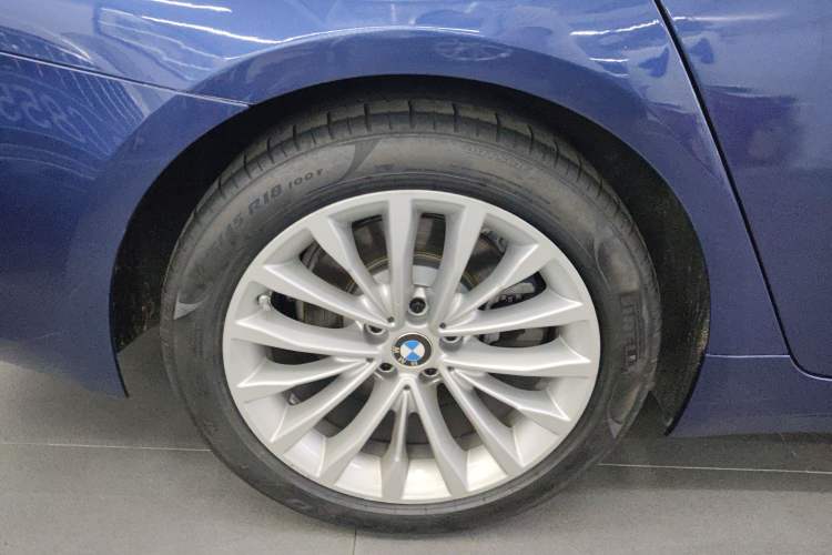 Used BMW 5 Series New Energy 2021 535Le Luxury Package