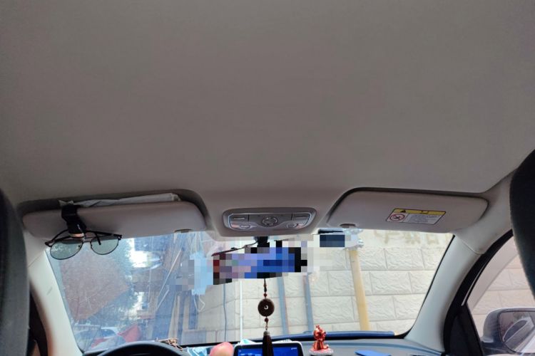 Used Dayun Yuehu 2021 32.85 kWh Two-Wheel-Drive Sprite Version Headliner