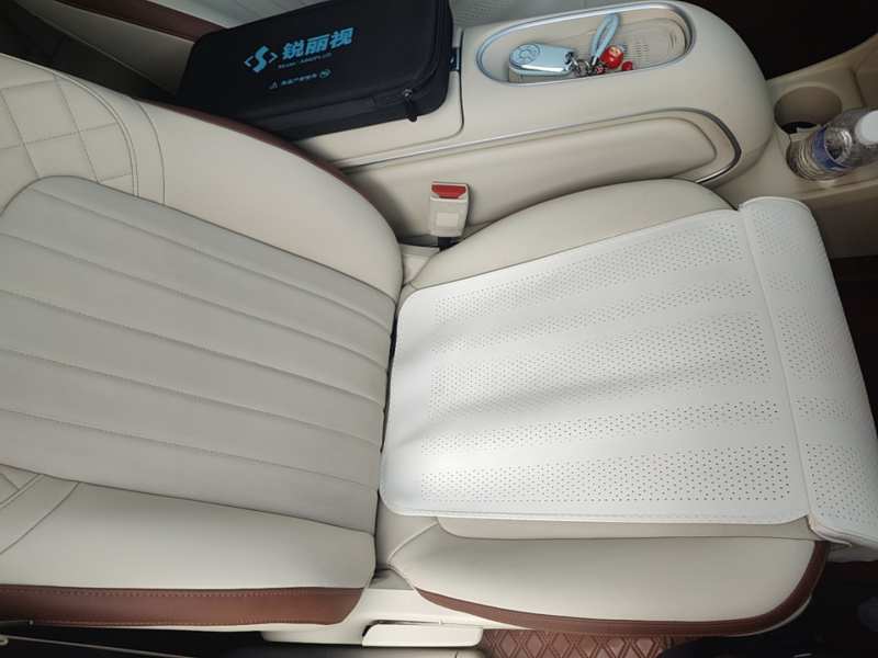 Used ORA Good Cat 2024 401 km Luxury Version — 24