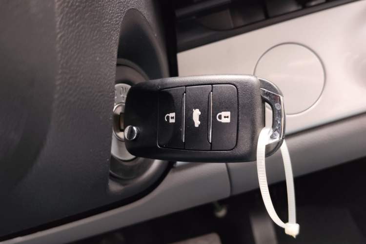 Used Qiyuan Lumin 2023 301km Honey Dew Edition
