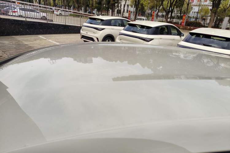 Used BYD Dolphin 2025 420km Free Edition
